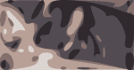 scott-tournet-crop