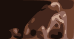 tab-weiand-crop-35