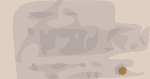 maggies-farm-screengrab-crop-cbs-dlyan