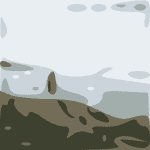 SALLIE_FORD_FINAL
