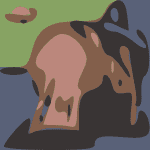 Chew Cover