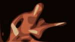 Umphrey’s McGee Debuts ‘Eminence Front’ Cover On This Date In 2009