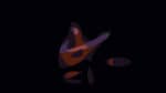 Full Show Video: Trey Anastasio Kicks Off Solo Acoustic Run In Northampton