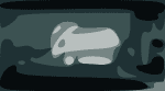 twid wrip screen