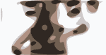 Brandi Carlile Rawn Crop