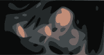 JJ Grey Rawn Crop 2