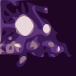 panicfox