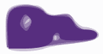 Prince Twins Hat