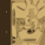 Bodhi Cheetah's Choice