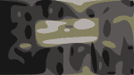 Camp Punk In Drublic