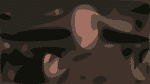 stepar screen