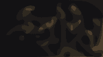 kimweiwav screen