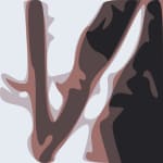 Wanderer Cover Art