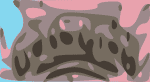 huinocats glory