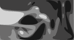 Keller Williams Rawn Crop 5