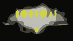 Roxodus