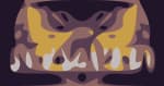 SunSquabi Night Moth