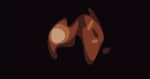 Mountain Man Fiona Apple Hot Knife Video