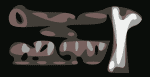 Jazz Fest 2019 Live Stream nugs Logo