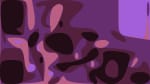 Cherub - Bleed Gold, Piss Excellence - Daytrotter Session - 2/6/2019