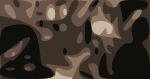 Railroad Earth Paste 2020