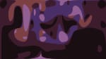 The Accidentals - Colder Weather - Daytrotter Session - 1/10/2019