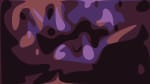 The Accidentals - Vessel - Daytrotter Session - 1/10/2019