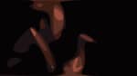Sasquatch (John Malcolm Penn) - Chris Thile | Live from Here