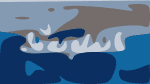 Seasplash Festival