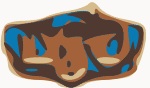 Dark Star Orchestra Logo
