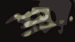 Freelance Whales - Will I See You?? (Welcome Campers)