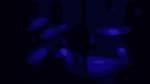 The Soft Moon - Like A Father (Johnny Brenda's) Philadelphia,Pa 3.27.18