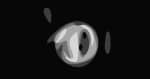 Phish Logo BW