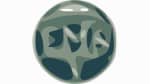 EMS Spring Fest