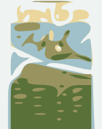 Spring Grass 21