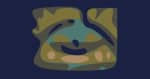Suwannee Rising 2021 Logo