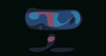 Live Phish Vinyl LP on LP