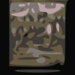 DavidShaw_CitySwamp_MarginyMay14_SQ_480x480