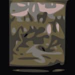 DavidShaw_CitySwamp_NOLAMay28_SQ_720x