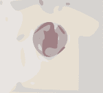 Dead Tshirt PAE June 2021