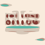 TLB_1080x1080