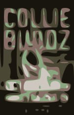 Collie Buddz