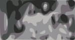 Animal Collective Press October 2021 Bharoocha