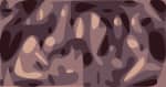 Moonalice press November 2021