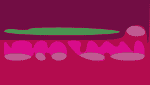 FloydFest 22 Logo