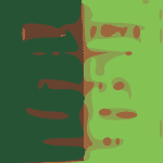 Pinegrove