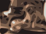 66690941_650633120962_4028053194725654528_n