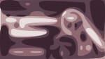Forgotten Space