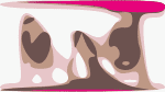 Flans