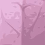 feist